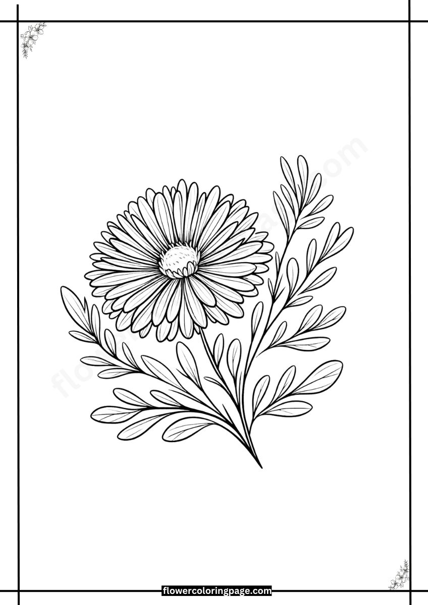 Aster Coloring Pages Free Printable Pdf Flower Coloring Page