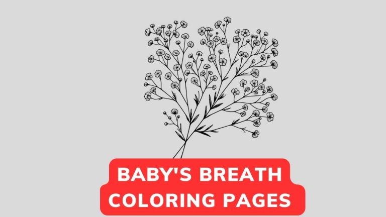 Baby's Breath Coloring Page