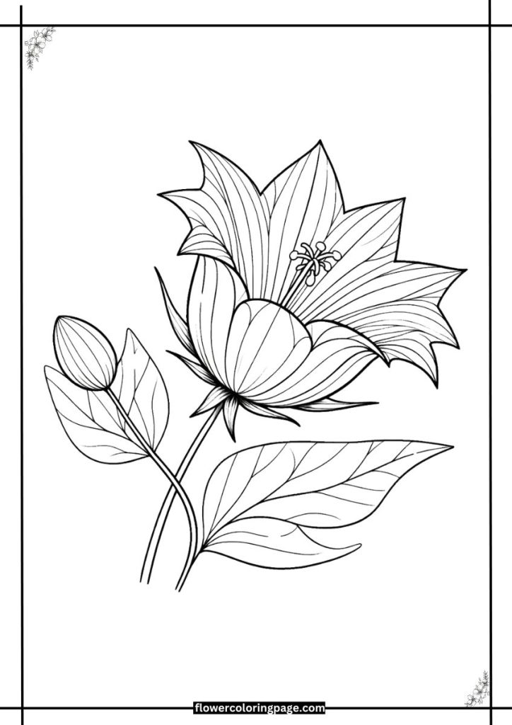 Balloon Flower Coloring page