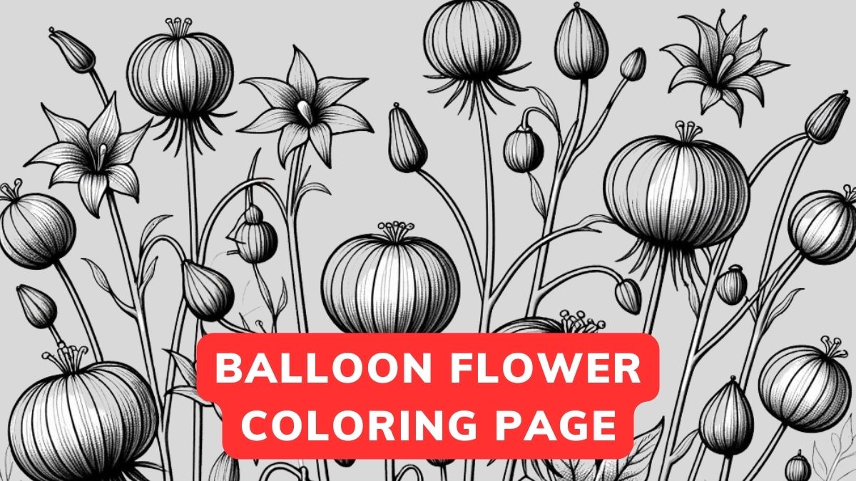 Balloon Flower Coloring page