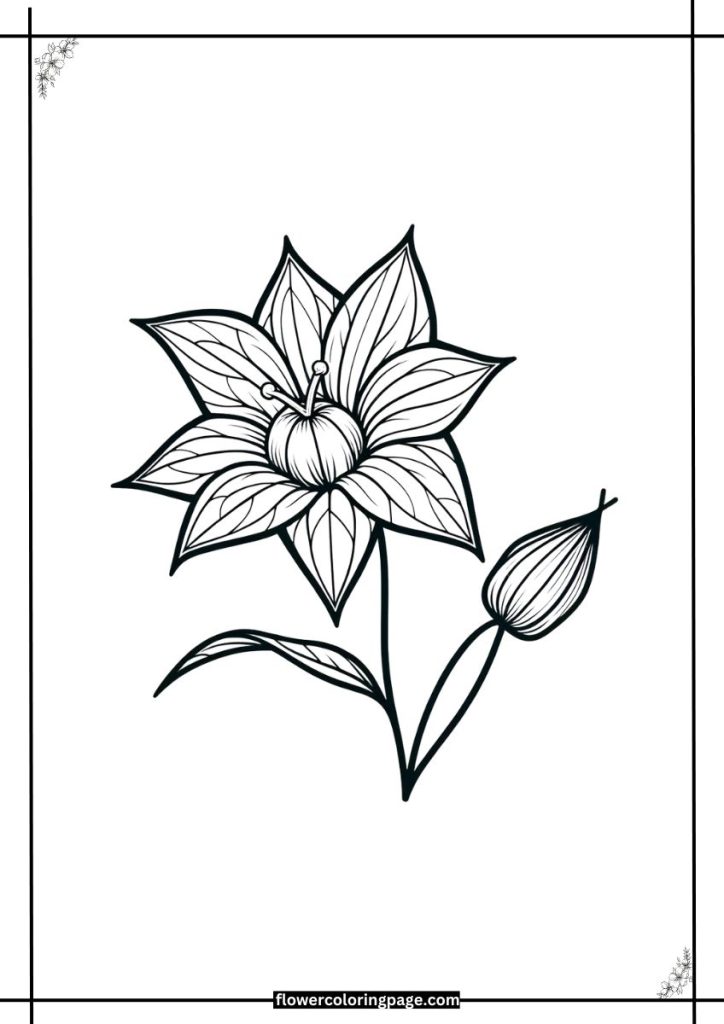 Balloon Flower Coloring pages