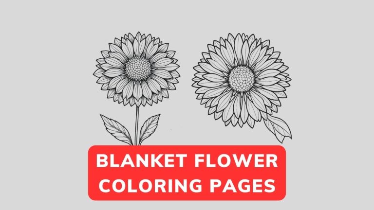 Blanket Flower Coloring Pages