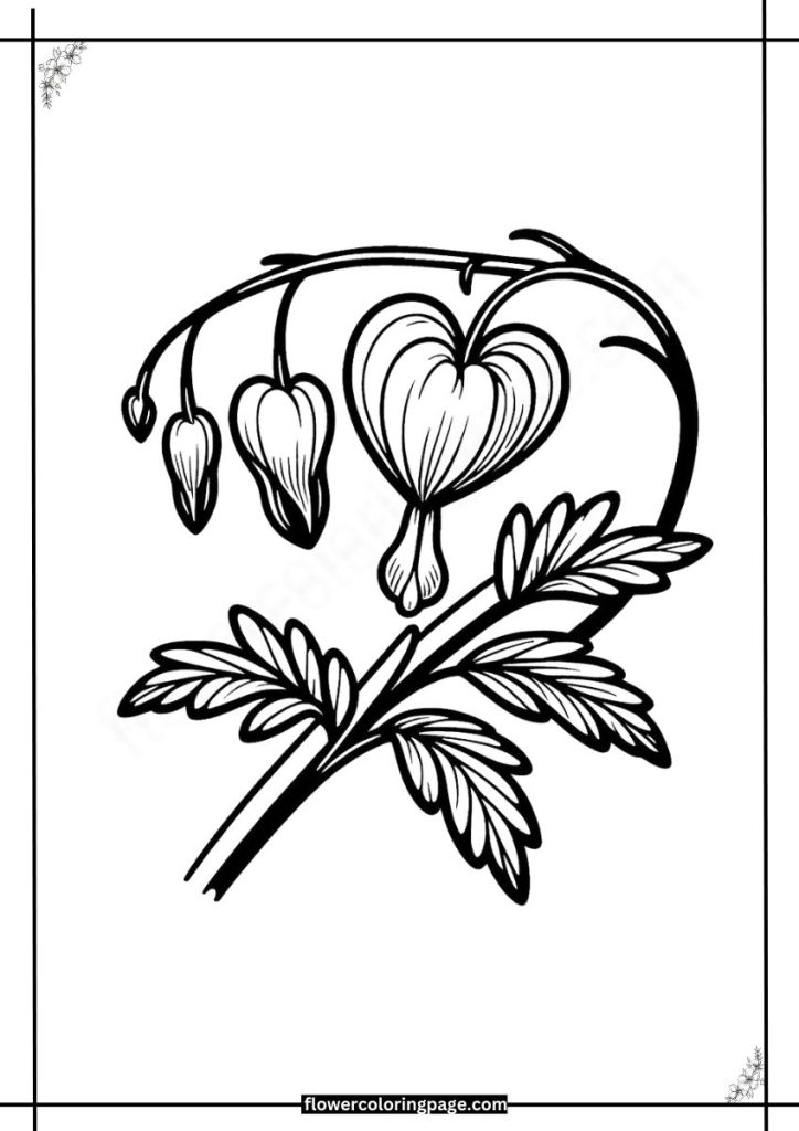 Bleeding Heart Coloring Pages