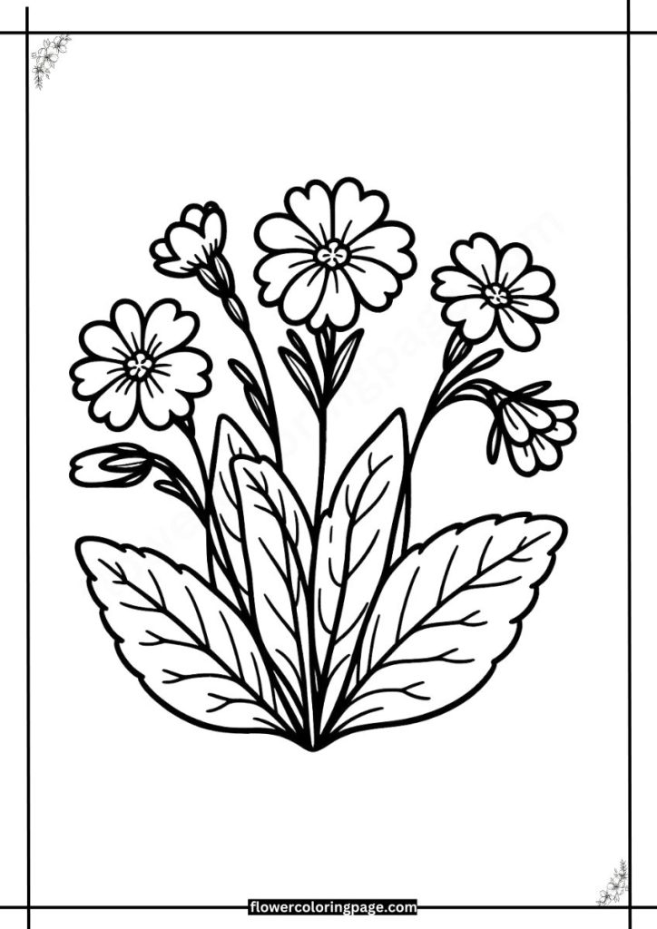 Cowslip Coloring Pages Printable