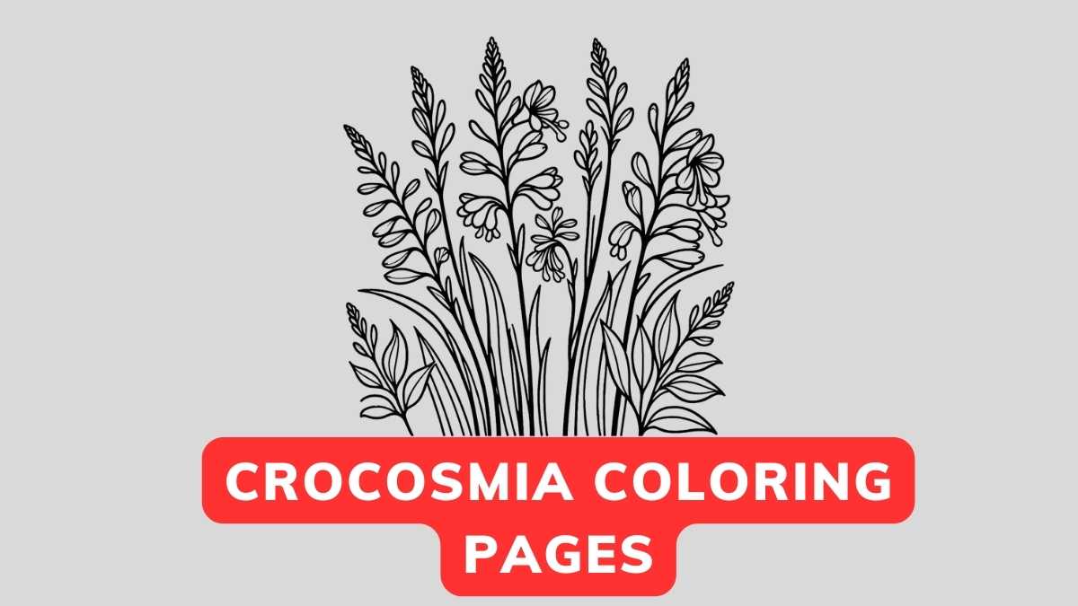 Crocosmia Coloring Page