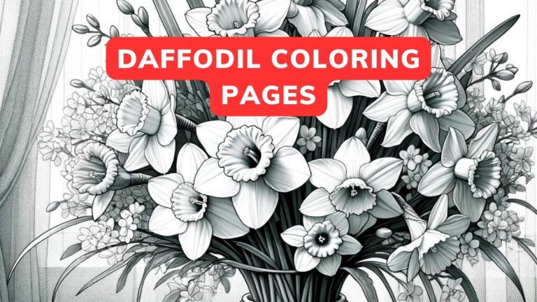 Daffodil Coloring Pages