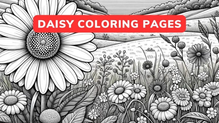 Daisy Coloring Pages