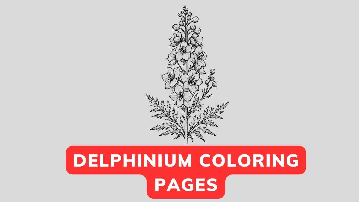 Delphinium Coloring Page