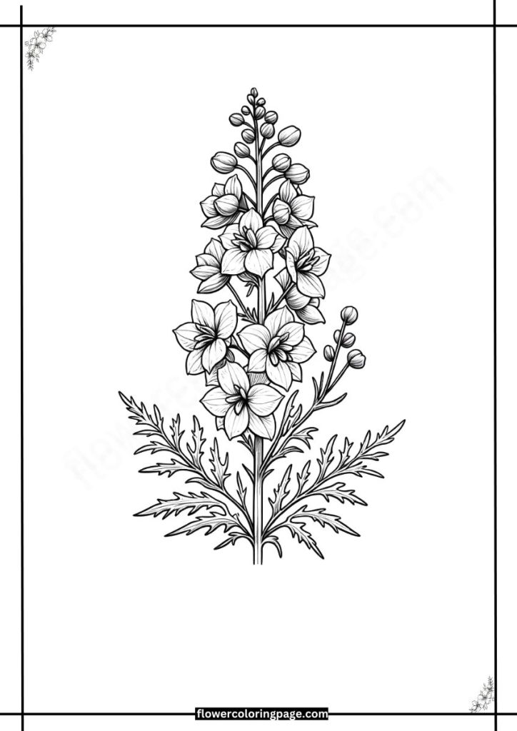 Delphinium Coloring Pages