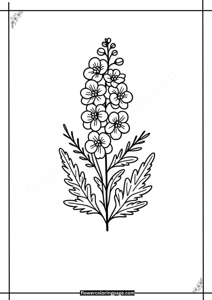 Delphinium Coloring Pages Printable