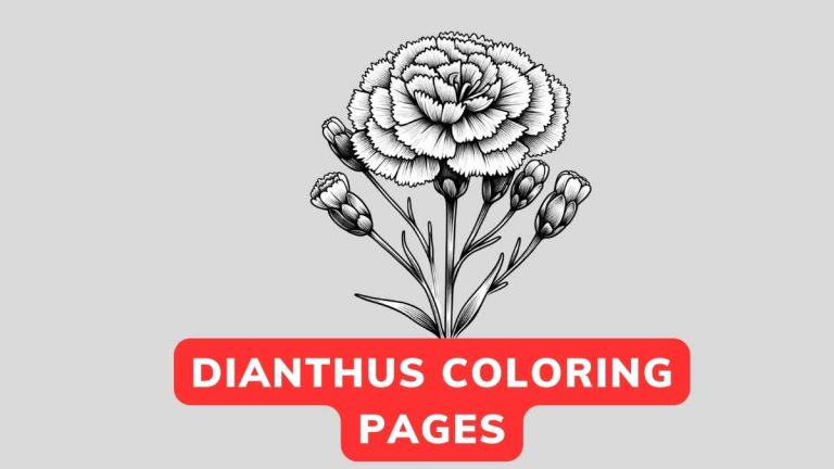 Dianthus Coloring Page