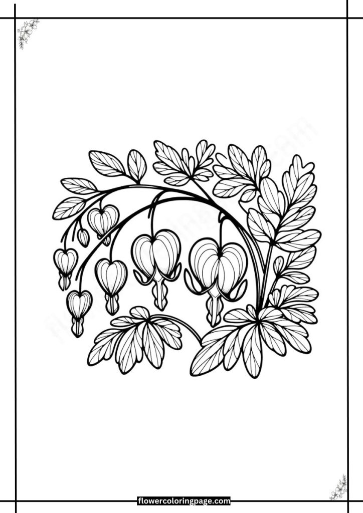 Dicentra Coloring Pages