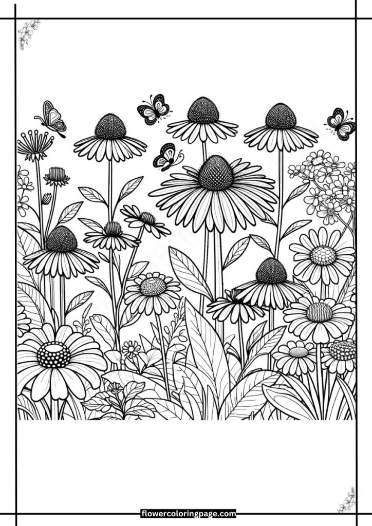 Echinacea Coloring Pages