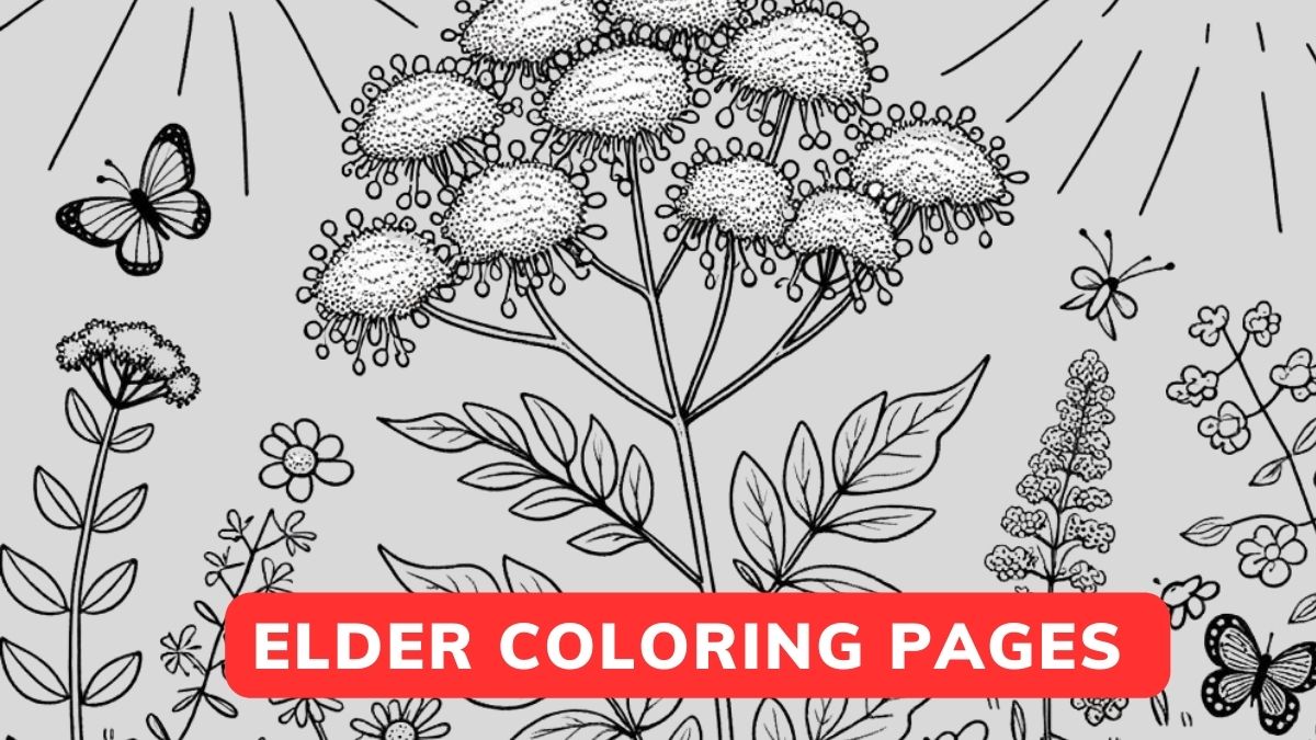 Elder Coloring Page