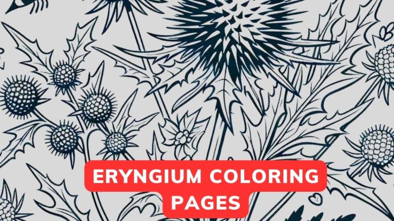 Eryngium Coloring Pages