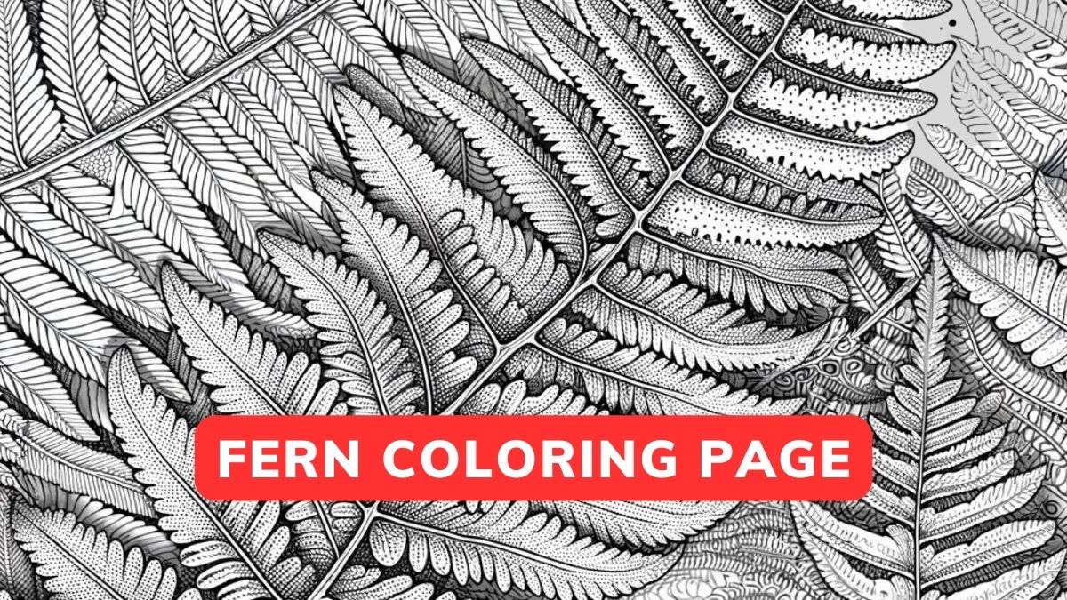 Fern Coloring Page