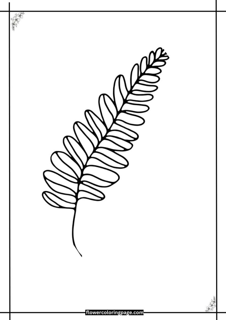 Fern Coloring Page