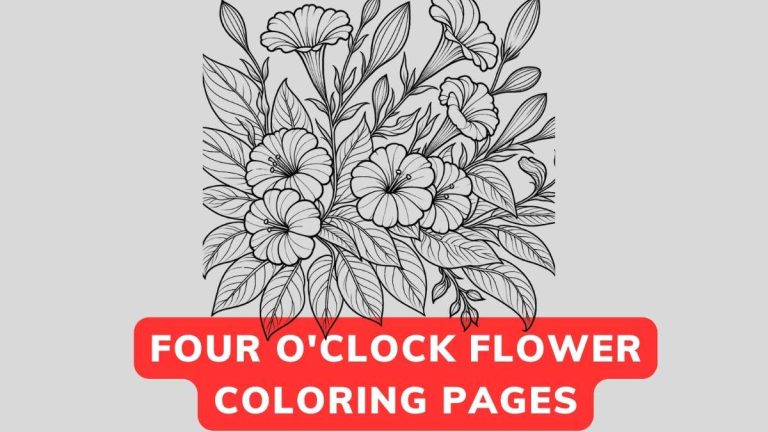 Four O'Clock Flower Coloring Page