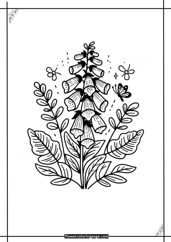 Foxglove Coloring Pages Printable