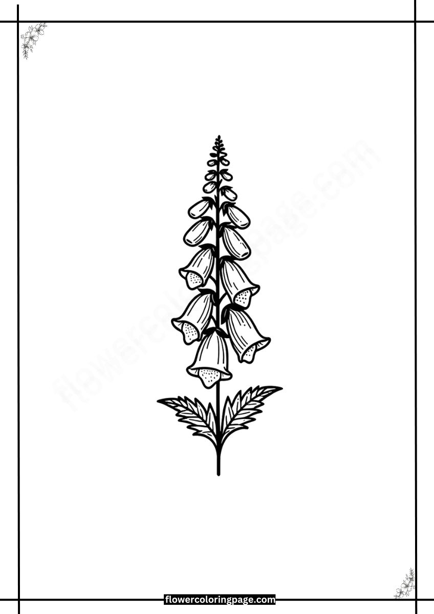 Free Foxglove Coloring Pages Printable PDF Flower Coloring Page
