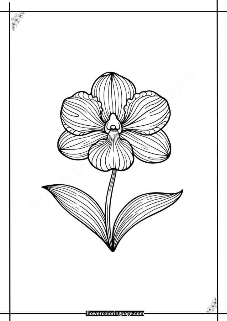 Free Peacock Orchid coloring page