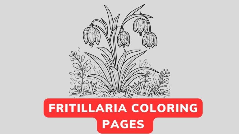 Fritillaria Coloring Page