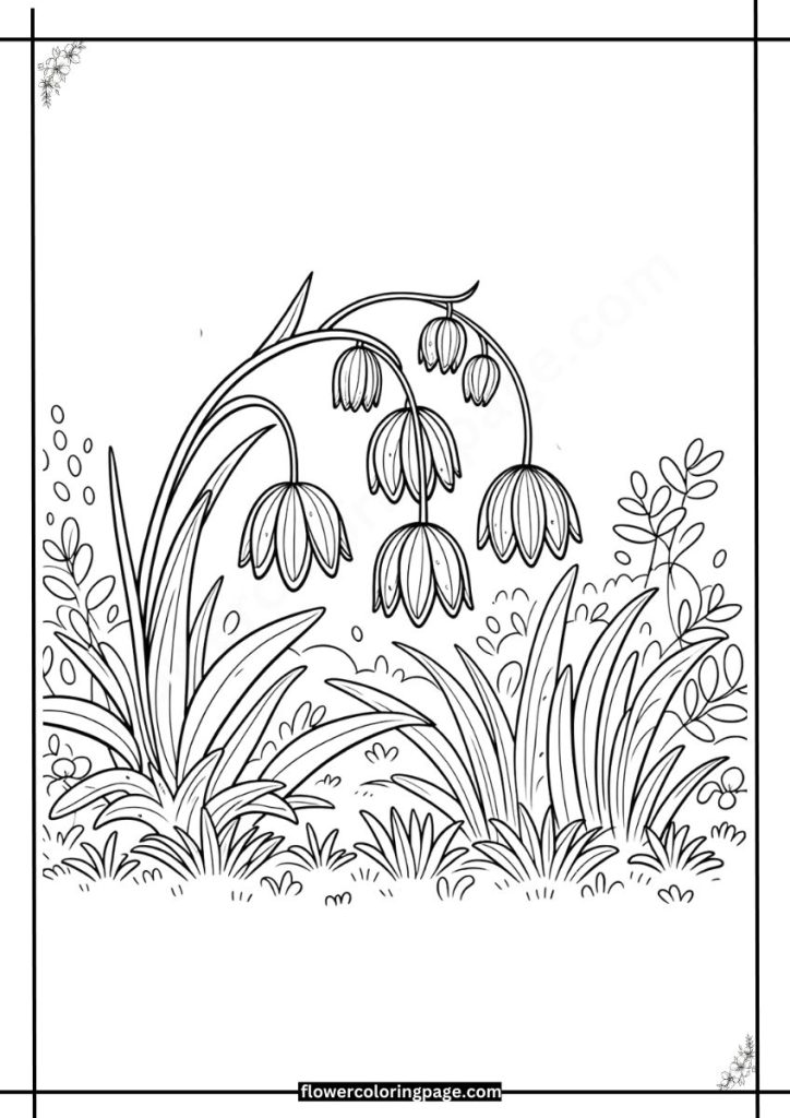 Fritillaria Coloring Pages Printable