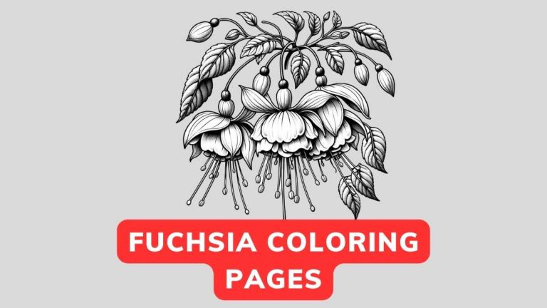 Fuchsia Coloring Page