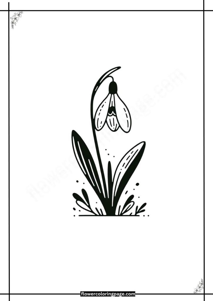 Galanthus Coloring Pages