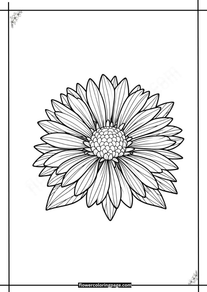 Gardenia Coloring Pages