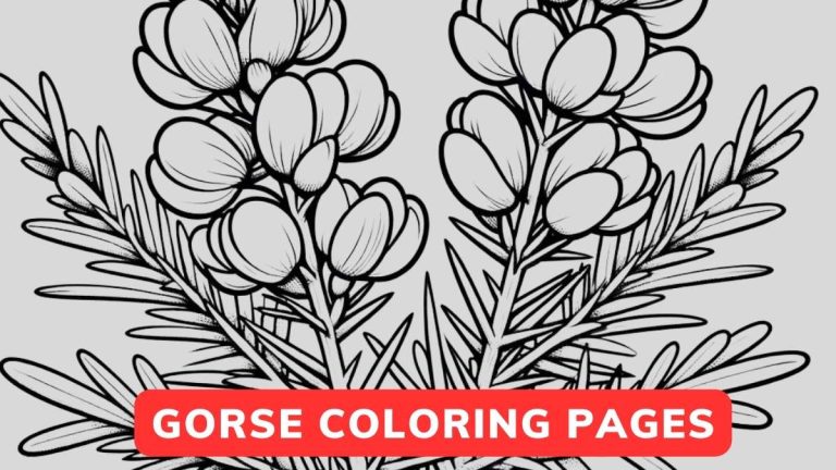 Gorse Coloring Page