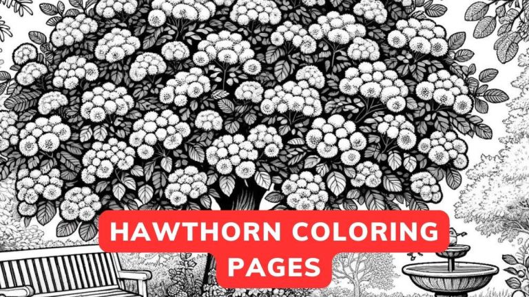 Hawthorn Coloring Page