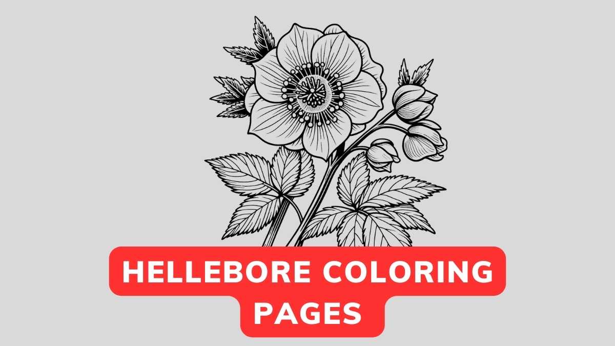 Hellebore Coloring Page