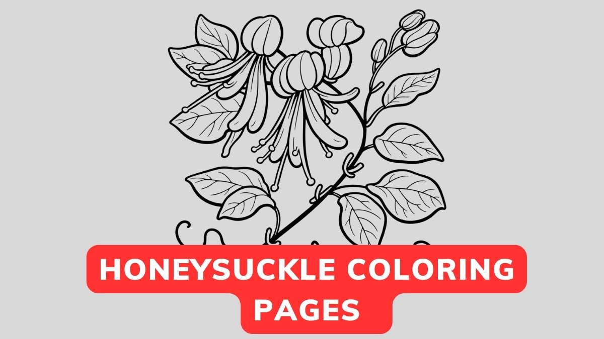 Honeysuckle Coloring Page