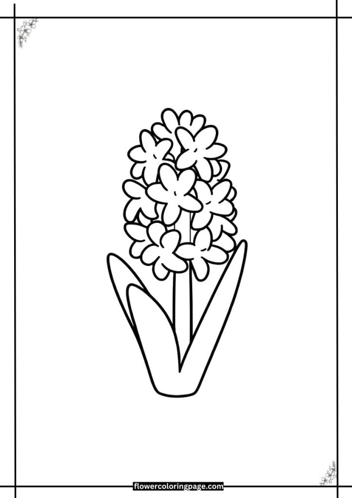 Hyacinth Coloring Page