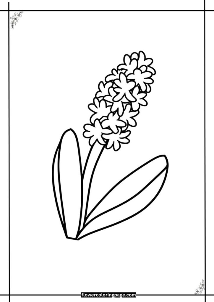 Hyacinth Coloring Pages