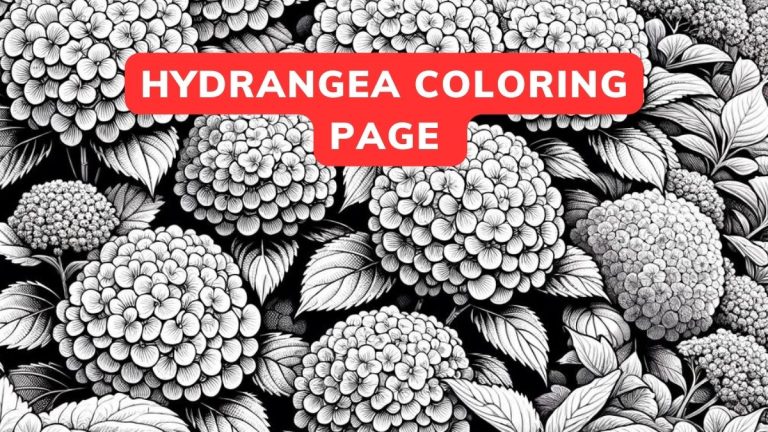 Hydrangea Coloring Page