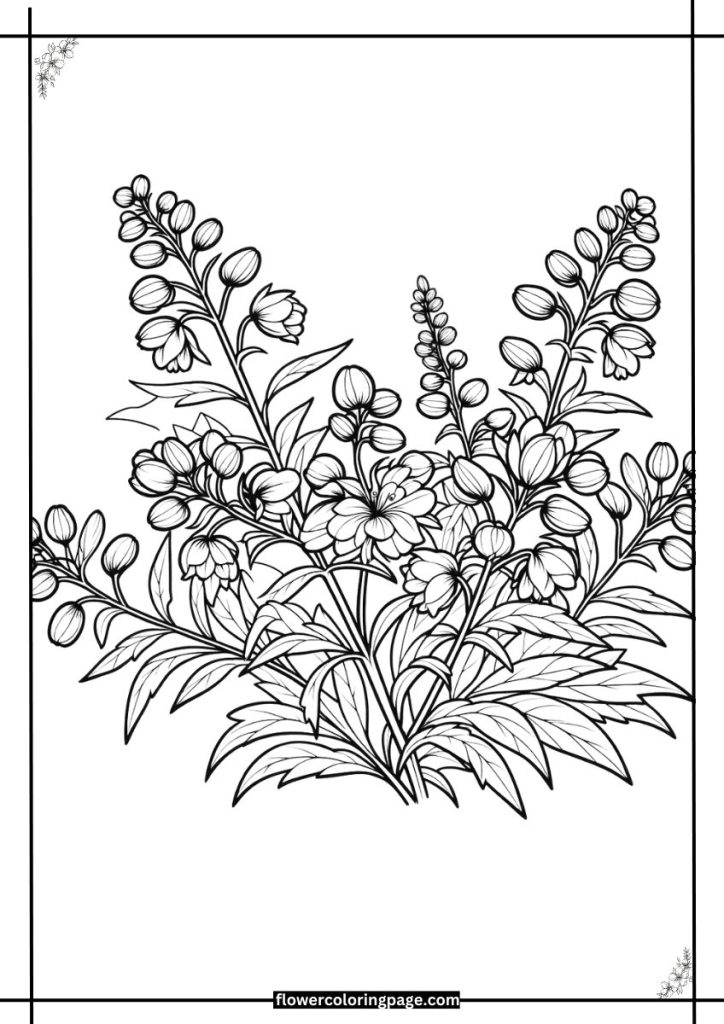 Jacob's Ladder Coloring Pages