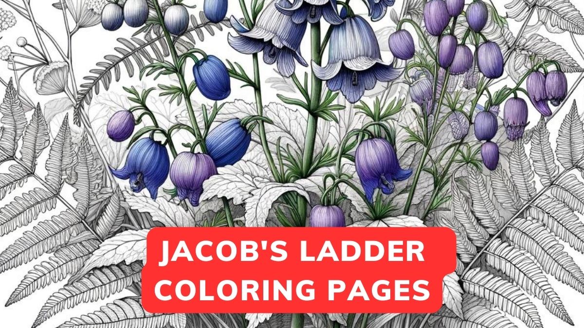 Jacob's Ladder Coloring Pages