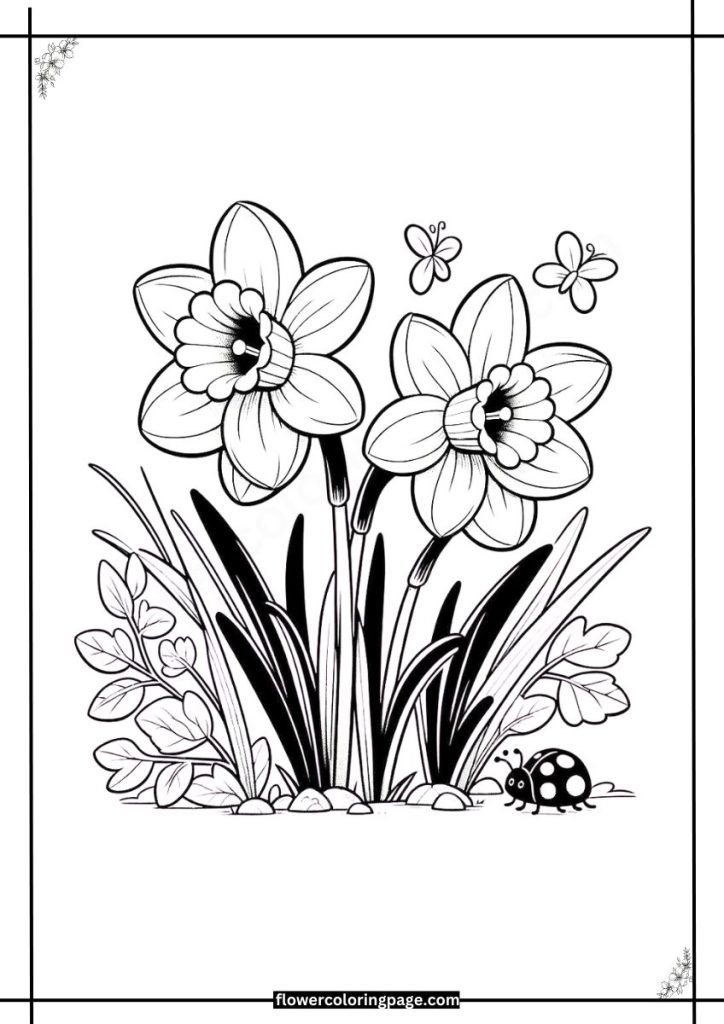 Jonquil Coloring Pages