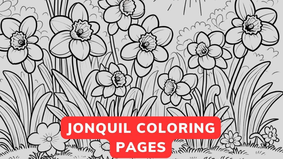 Jonquil Coloring Pages