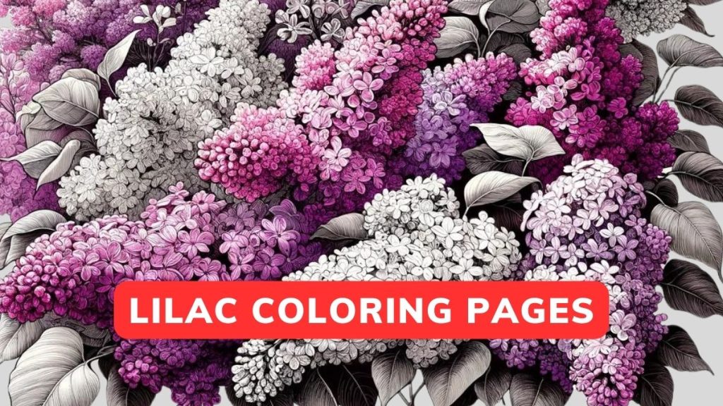 Lilac Flower Coloring Pages Free Printable [PDF] - Flower Coloring Page