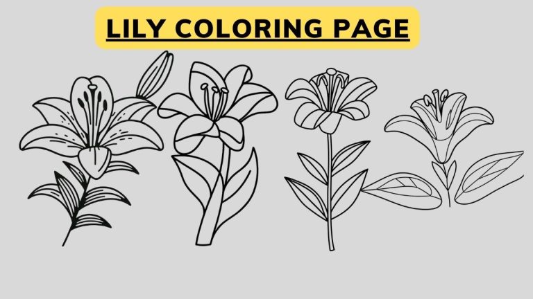 Lily Coloring Page