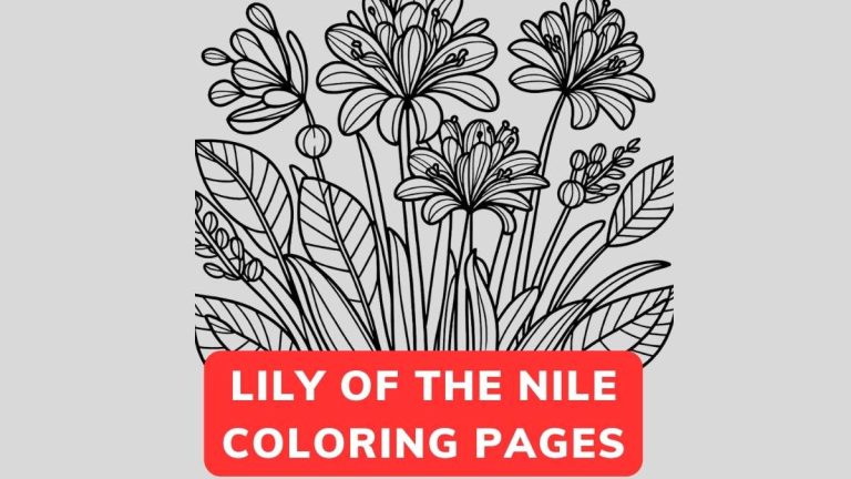 Lily of the Nile Coloring Page