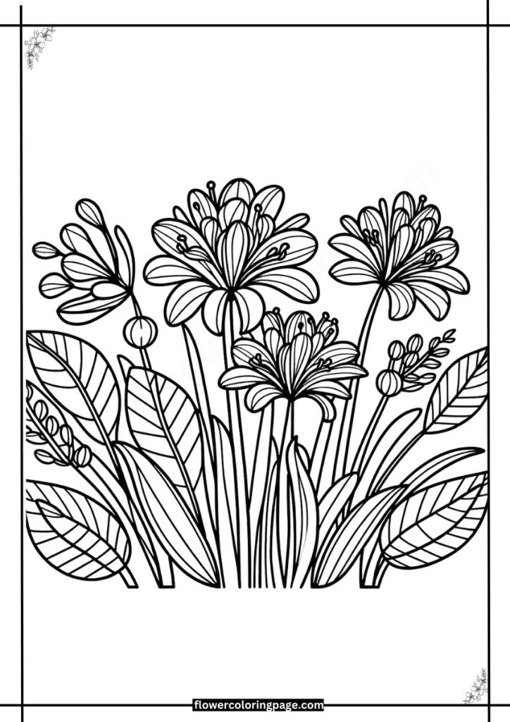 Lily of the Nile Coloring Pages