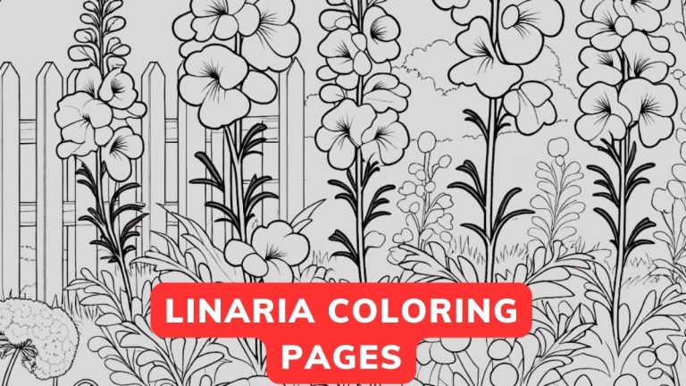 Linaria Coloring Page