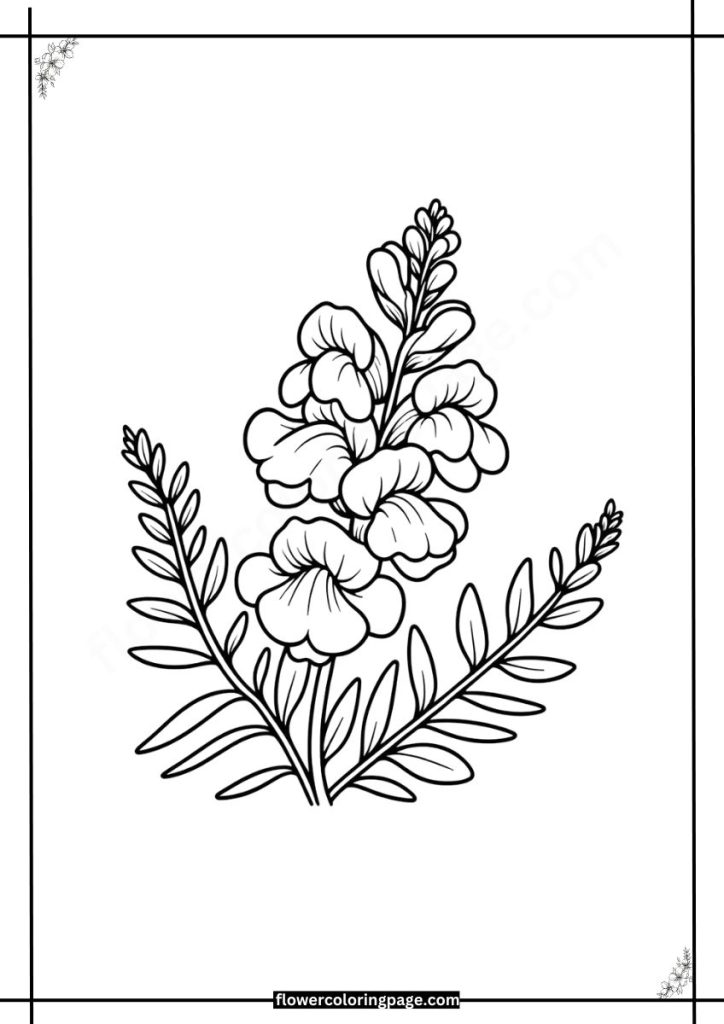 Linaria Coloring Pages