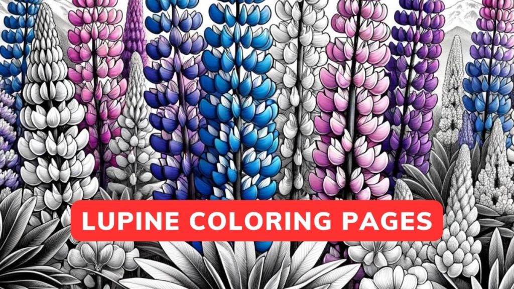 Lupine Coloring Pages Free Printable [PDF] - Flower Coloring Page