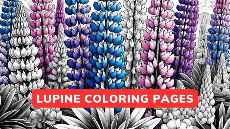 Lupine Coloring Pages