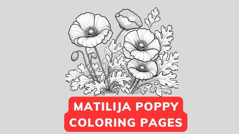 Matilija Poppy Coloring Page